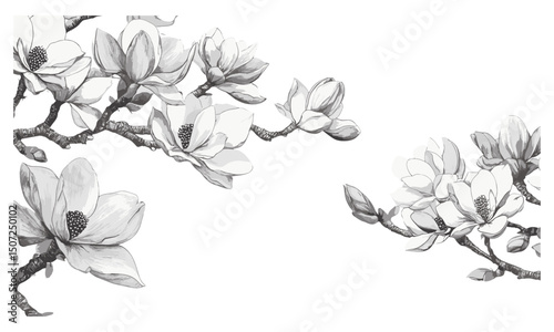 Magnolia Tree Silhouettes, Bloom Season Spring Scene, engraved floral canopy vector illustration, soft pastel forest clipart, garden decor, botanical art, nature design.