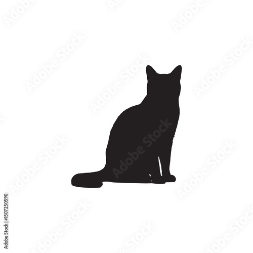 Black domestic cat isolated on a white background