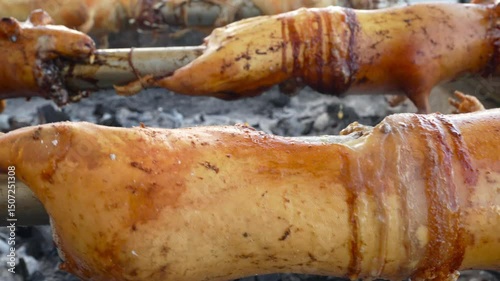 Roasting guinea pigs on a spit over coals