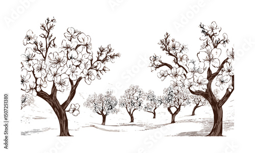 Blooming Peach Tree Silhouettes, spring orchard scene, engraved seasonal vector illustration, soft rural canopy clipart, fruit farm landscape, natural floral design, botanical art.