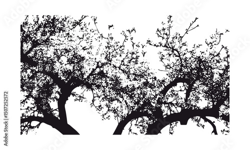 Blossom Garden Plum Tree Silhouettes spring orchard scene, engraved flowering tree vector illustration, seasonal bloom canopy, countryside nature art, floral landscape design.