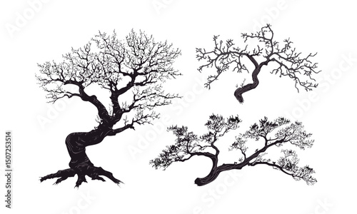 Oriental Spring Theme, blossoming plum tree silhouettes, engraved flower canopy, vintage curved branch art, vector illustration, floral elements, natural elegance, garden design, seasonal flora.