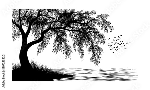 Willow tree silhouettes by lakeside, breeze-bent branches, flowing canopy vector illustration, peaceful scenery, serene landscape art, engraved curved tree design, calm nature background