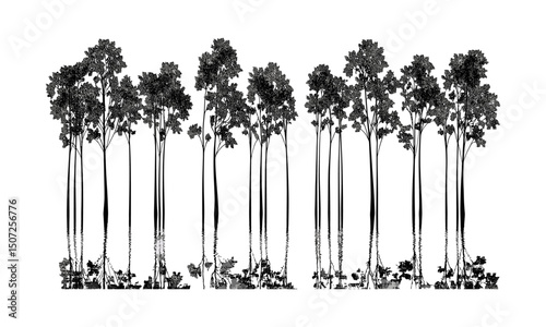 Silhouettes of tall thin poplar trees with engraved trunks, reflective water forest, calm nature design, lakeside valley scene, vector illustration, peaceful natural landscape, outdoor scenery.