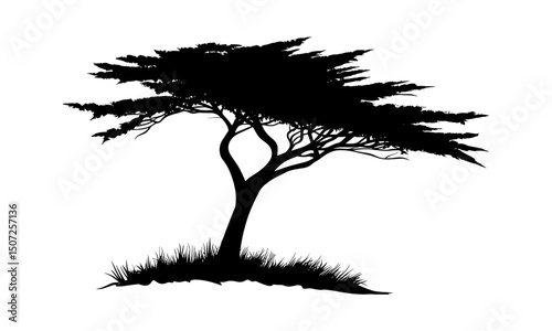 Tree Silhouette, Hand-Drawn Cedar, Autumn Forest in Coastal Style, Nature Clipart, Wild Tree, Woodland Art, Tree Vector Illustration, Tree PNG, Botanical Design, Scenic Landscape.