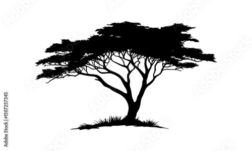 Autumn Woodland Silhouette, Hand-Drawn Cedar Tree in Coastal Style, Nature Design, Forest Vector Illustration, Wild Tree Clipart, Tree PNG, Scenic Forest Art, Mountain Landscape.