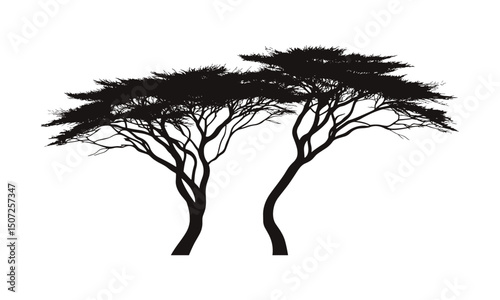 Cedar Tree Silhouette, Autumn Woodland in Coastal Style, Forest Clipart, Nature Design, Wild Tree, Hand-Drawn Vector Illustration, Tree Cutout, Rustic Landscape, Outdoor Decor.