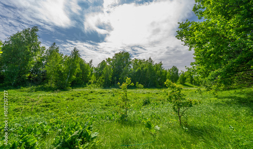 Foto Spring photography, landscape with a cloudy sky
