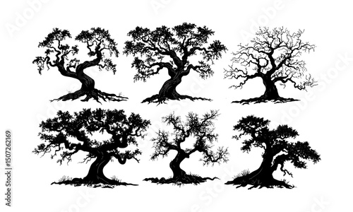 Celtic Oak Tree Silhouettes, ancient forest art, mythology forest, strong branches, thick trunk, spiritual woodland, vintage clipart, hand-drawn vector, seasonal oak set, sacred tree