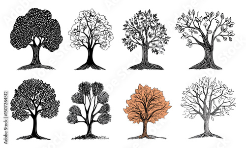 Chestnut Tree Autumn Forest Silhouette, Rural Scene Vector Pack, hand-drawn tree clipart, seasonal nature landscape, wild tree illustration, vector illustration.