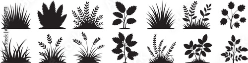 set of bush grass shrub herb silhouette vector transparent background