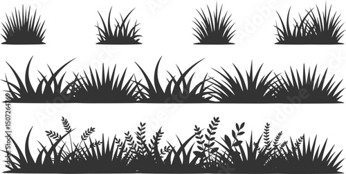 Silhouette of wild grass and plants against a white background, creating a natural vector illustration., Monochrome illustration of grass. Vector silhouettes