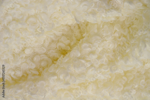 Fotografie Faux fur of white pale yellow color