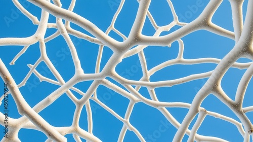 Winter wonderland scene with frosted tree branches creating intricate patterns against a clear bright blue sky background