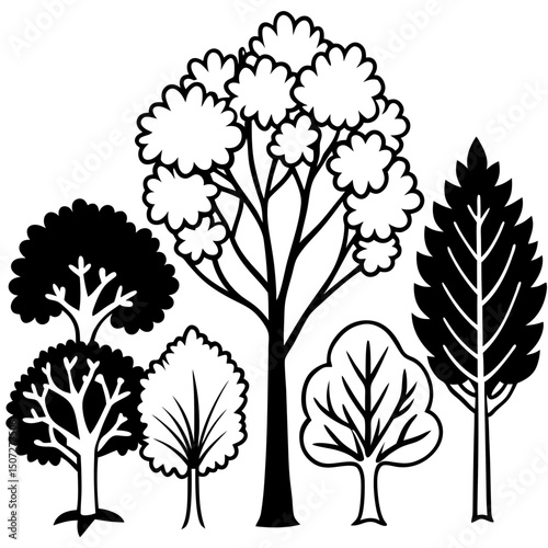 Deciduous Tree Silhouettes – Black Vector on White