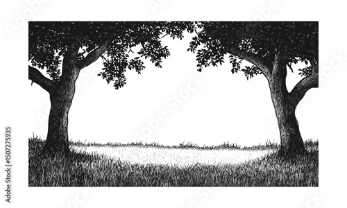 Rural park, dawn meadow, elm tree silhouettes, early morning atmosphere, engraved gentle canopy, vector illustration, scenic nature, tranquil outdoor environment, natural habitat, peaceful greenery.