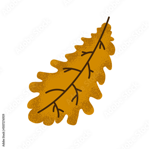 Vector autumn oak leaf. Leaf plant botanical garden floral foliage. Isolated illustration element. Vector leaf for background, texture, wrapper pattern, frame or border.