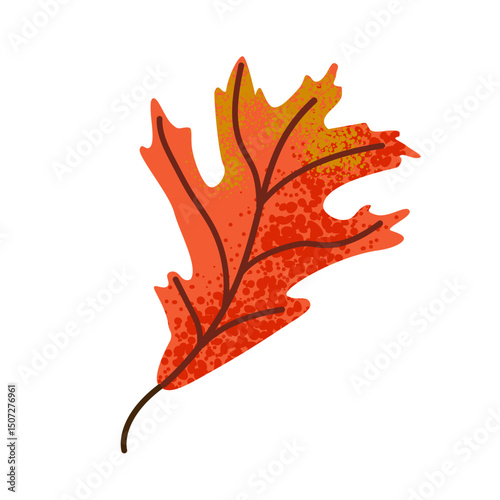 Vector autumn oak leaf. Leaf plant botanical garden floral foliage. Isolated illustration element. Vector leaf for background, texture, wrapper pattern, frame or border.