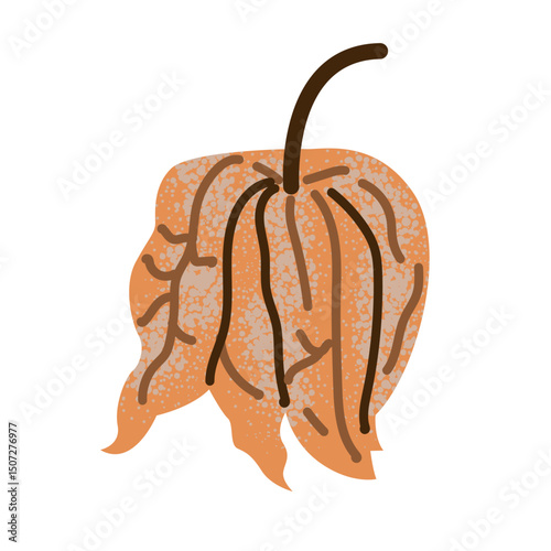 Physalis branch with leaves and berries vector sketch, hand drawn autumn gooseberry orange berry fruits in husk on stem. For poster, flyer, brochure, banner