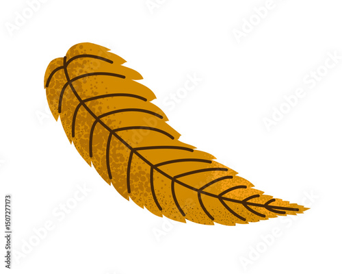 Hand drawn willow leaf. Autumn design for poster, banner, flyer, brochure