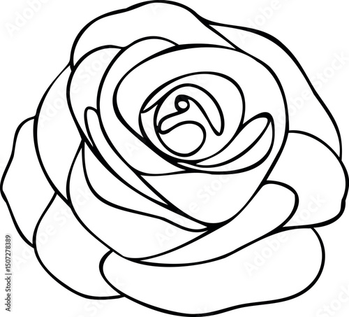 Rose flower line art. Hand drawn vector illustration