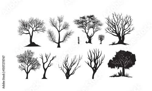 Desert Acacia Tree Silhouettes, arid landscape design, dry biome, savanna trees, thorny branches, sparse forest clipart, hot climate, minimalist black tree, wild desert nature, vector illustration.