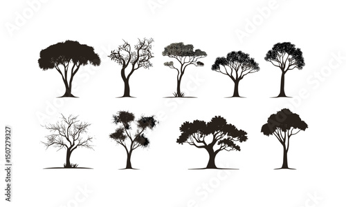 Arid landscape design with desert acacia trees, savanna dry biome, thorny branches, sparse forest clipart, hot climate vegetation, minimalist black tree, wild nature vector illustration.