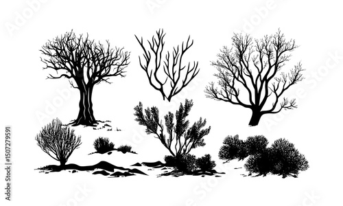 Mesquite Tree Silhouettes in Desert, engraved shrub vector illustration, arid landscape clipart, open range vegetation, drought tolerant plants, desert flora scene, vector illustration.