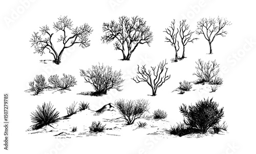 Desert Mesquite Tree Silhouettes, arid climate shrub forest vector illustration, open range clipart, dry landscape flora, southwestern nature scene, wild vegetation, vector illustration.