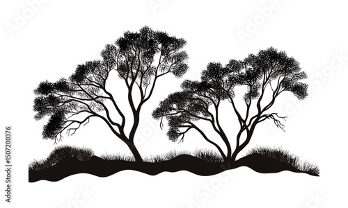 Engraved Mesquite Trees Desert Scene, shrub forest vector illustration, arid open range clipart, drought resistant flora, dryland vegetation, wild desert landscape, vector illustration.