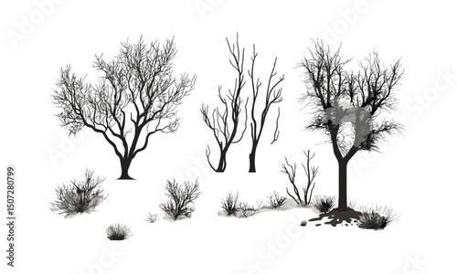Desert Mesquite Tree Silhouettes, spiky leaves, arid forest scene, low woodland trees, dry climate vegetation, sun-parched nature, rustic design elements, vector illustration.