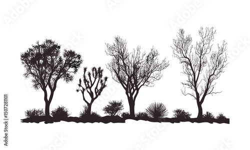 Arid forest scene with desert Mesquite tree silhouettes, spiky leaves, low woodland vegetation, dry climate plants, rustic nature design, sun-baked landscape, vector illustration.