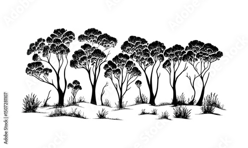 Scattered Forest Vector Illustration with Desert Outback Eucalyptus Tree Silhouettes, dry woodland scene, engraved clipart pack, long leaf foliage, natural environment, wilderness flora.