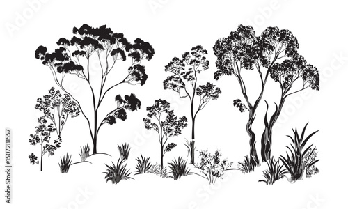 Dry Woodland Scene with Desert Outback Eucalyptus Tree Silhouettes, scattered forest vector illustration, long leaf engraved clipart pack, wilderness nature elements, arid tree shapes.