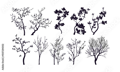 Urban Park Elements with Dogwood Tree, wild tree, black tree, nature clipart, springtime forest silhouette, tree vector, vector illustration, botanical scenery, natural environment.