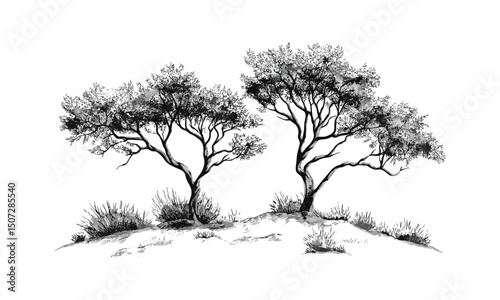 Engraved Mesquite Tree Silhouettes, dry canopy vector illustration, rugged desert forest pack, wild nature scene, droughtland ecosystem, arid terrain vegetation, southwestern desert plants.