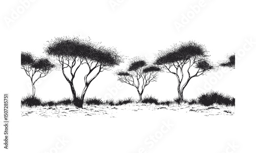 Rugged Mesquite Tree Silhouettes, droughtland desert forest, engraved dry canopy vector illustration, wild nature habitat, arid region flora, desert ecosystem illustration