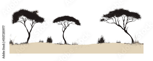Sparse Landscape Tamarisk Tree Silhouettes, dry steppe, desert climate trees, minimal forest clipart, soft brush canopy art, seasonal illustration, vector illustration, wilderness scene