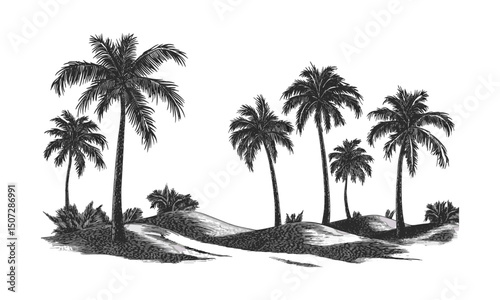 Dune Edge Palm Tree Silhouettes, engraved tropical trees, curved canopy vector illustration, desert oasis scene, hot climate landscape, sunset sky, arid environment, nature silhouette.