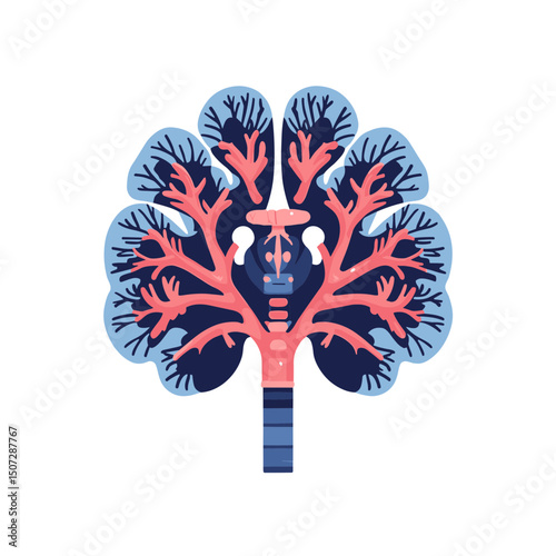 Detailed Lung Illustration with Blue and Pink Hues Displaying Respiratory Anatomy on White Backdrop for Medical Educational Purposes