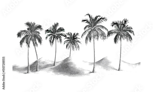 Engraved Palm Trees with Curved Canopy, dune edge silhouettes, desert oasis vector illustration, hot climate landscape, sand dunes, tropical nature scene, sunset background, exotic vegetation.