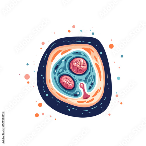 Detailed Microscopic View of a Biological Cell with Red Nuclei Surrounded by Blue Fluid with Complex Anatomical Structure Isolated on White