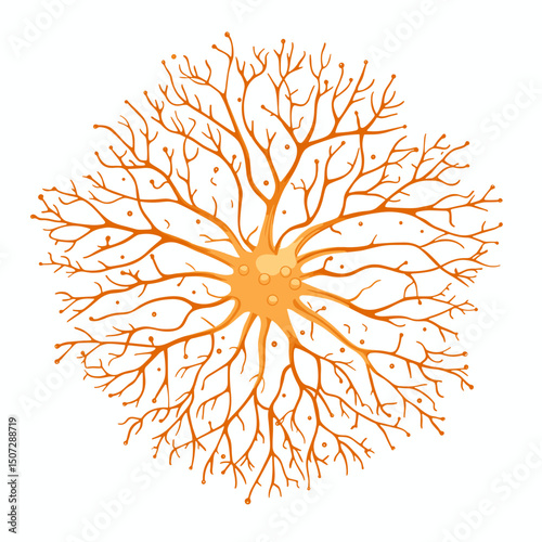 Detailed Orange Neuron Nerve Cell Illustration on White Background