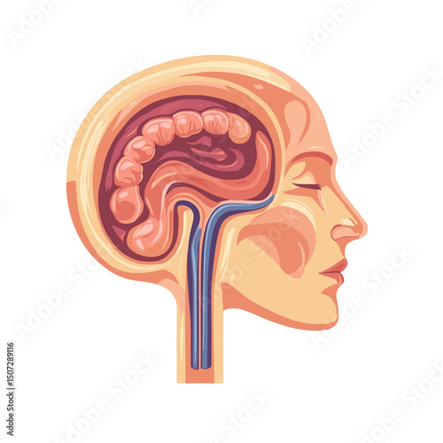 Detailed Pixel Art Illustration of Brain Anatomy and Human Head in Cross Section Showing Medical Biological and Scientific Structure