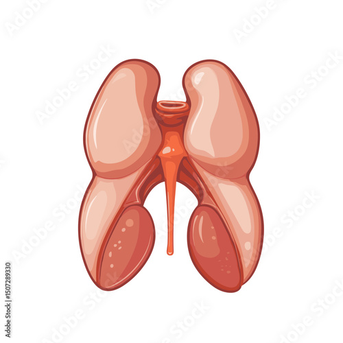 Detailed Pixel Art Illustration of Human Lungs Anatomy in Red and Pink Showing Respiratory System on a White Background