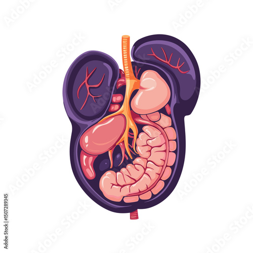 Detailed Pixel Art Illustration of Internal Human Organs System with Spleen Kidneys Liver and Intestines on a White Background
