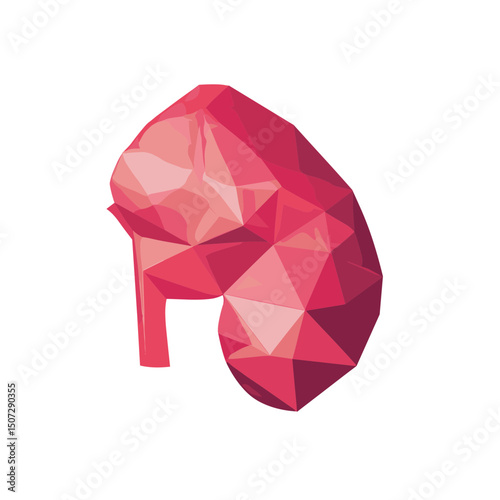 Geometric Kidney Model in Shades of Pink and Maroon Isolated on White Anatomical Rendering