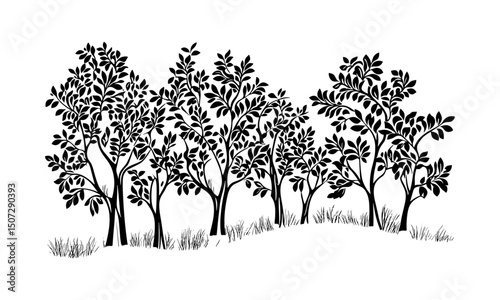 Forest silhouette, prairie spring scene, elm tree forest pack, engraving style, black tree, wild nature, vector illustration, outdoor scenery, natural habitat, tree outline, rustic charm.