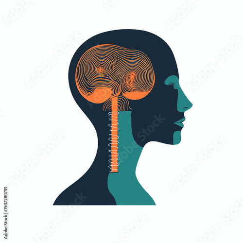 Human Brain Anatomy with Spine and Neck Silhouette Illustration of Medical Healthcare Science Internal Organ Isolated on White