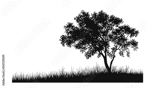 Minimal Elm Tree Woodland Art Set, forest silhouette, prairie theme, engraving style, seasonal foliage, nature clipart, tree vector, vector illustration, rustic nature, wilderness design.